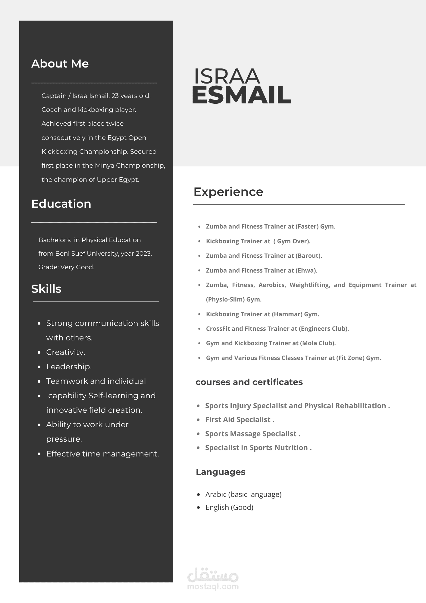 Professional CV | مستقل