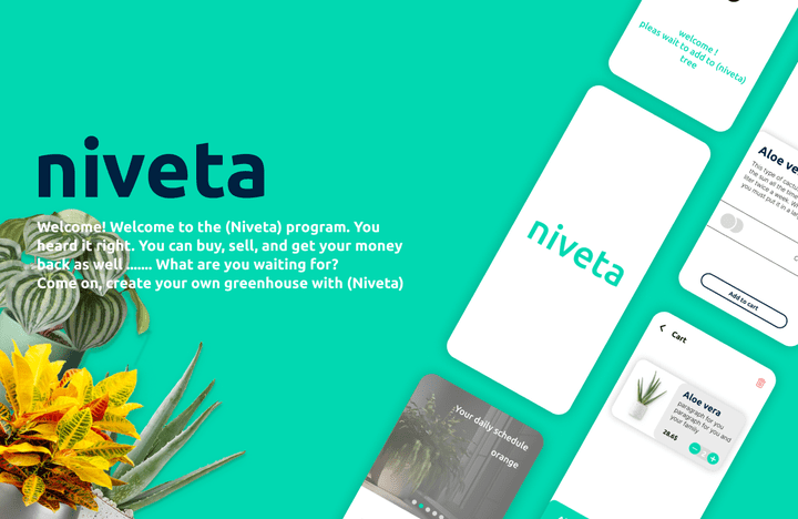 niveta