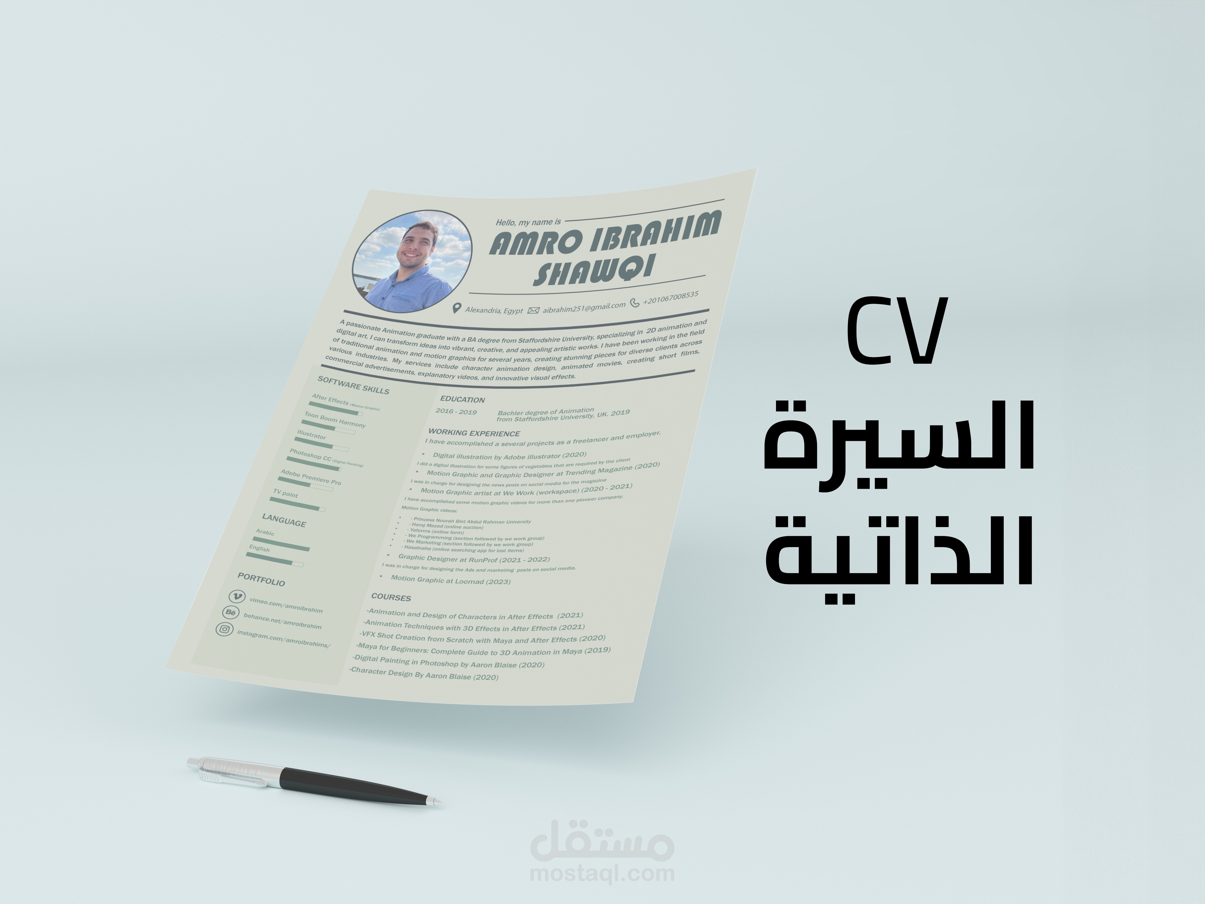 CV - السيرة الذاتية