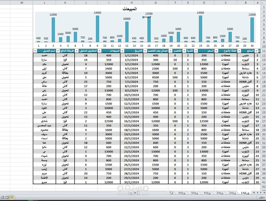 بناء ملف Excel شامل لإدارة المبيعات والمصروفات.