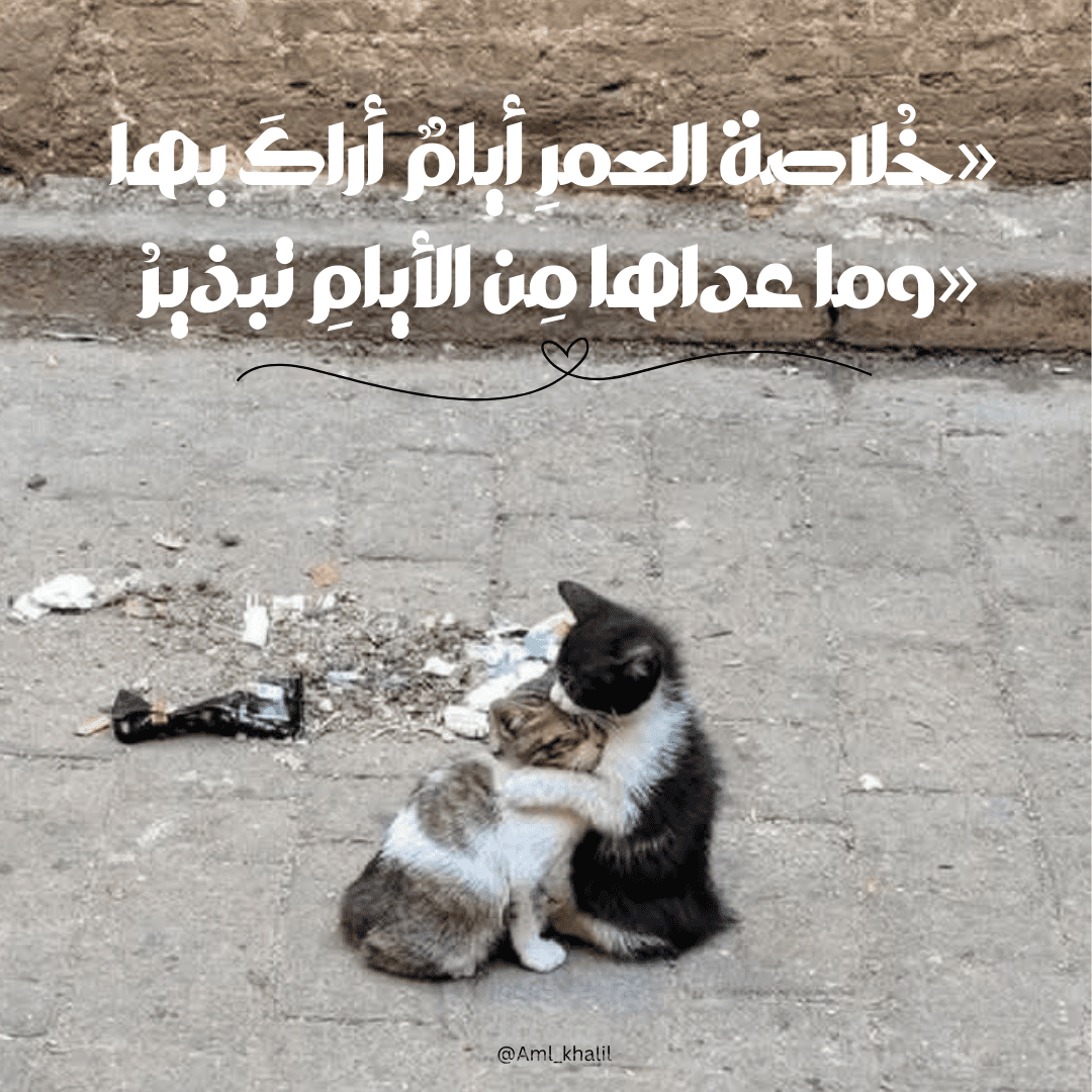 اقتباسات
