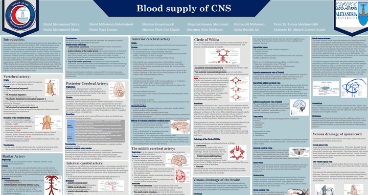 بوستر توضيحي لتلخيص blood supply في الجهاز العصبي المركزي CNS