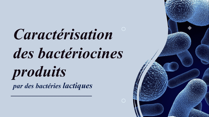 Caractérisation des bactériocines produits