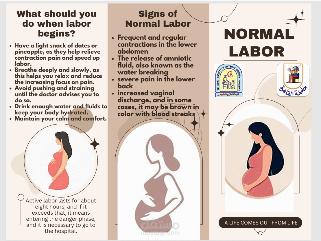 Scientific brochure about Normal Labor