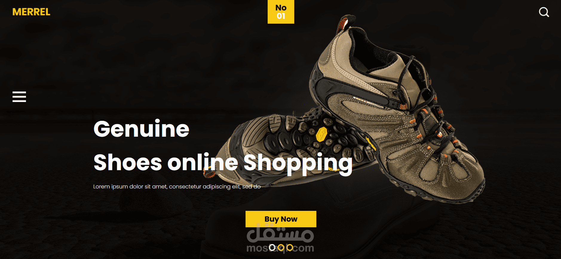 Website Design