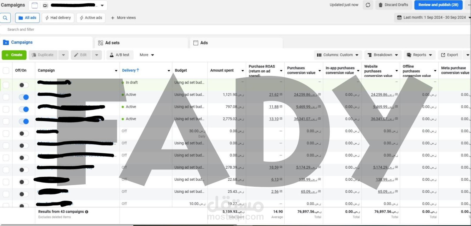 facebook Marketing Objectives: Conversion Campaign