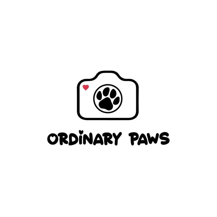 Ordinary Paws