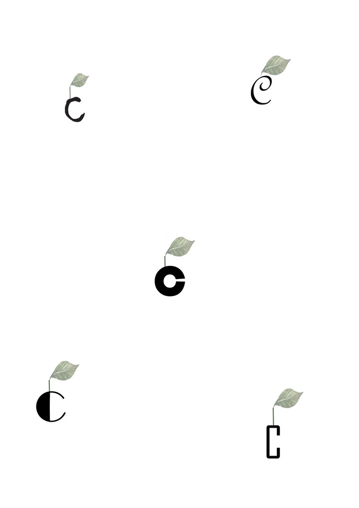 صميم شعار