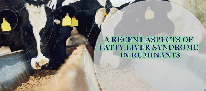 A recent aspects of fatty liver syndrome in ruminants