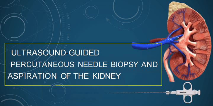 ULTRASOUND-GUIDED PERCUTANEOUS NEEDLE BIOPSY AND ASPIRATION OF THE KIDNEY