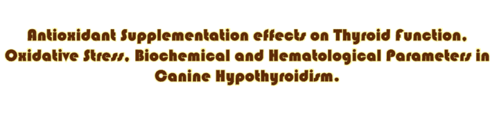 تأثيرات  مضادات الأكسدة على وظيفة الغدة الدرقية، والإجهاد التأكسدي، والمعاملات البيوكيميائية والدموية في قصور الغدة الدرقية في الكلاب.