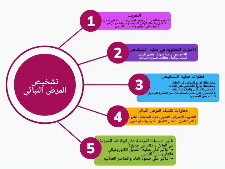 بانر عن تشخيص امراض النبات