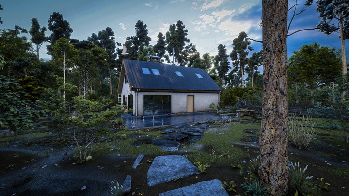 Cabin in the woods Exterior visualization