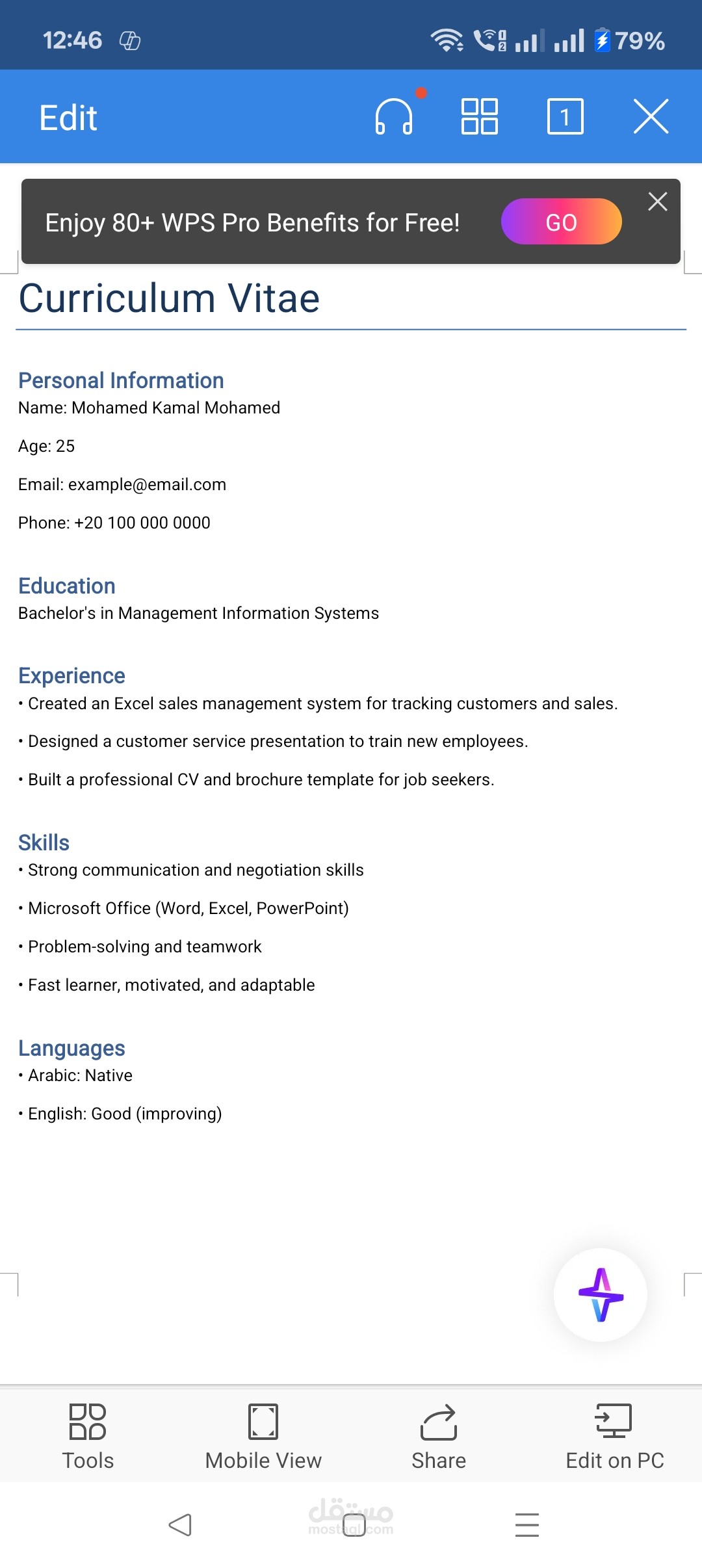 Professional CV / Brochure Design