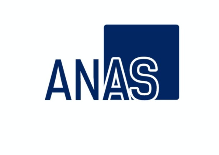 logo باسم Anas