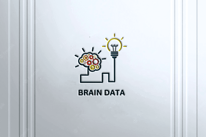 Brain Data Logo