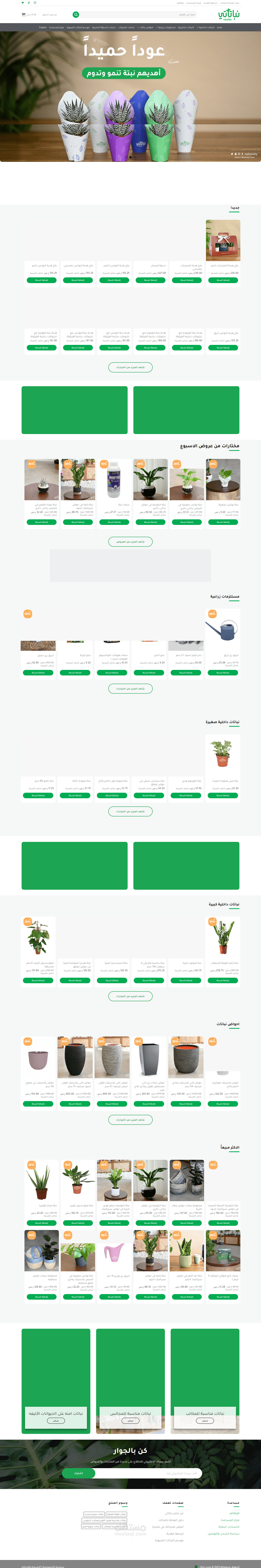 تصميم متجر الكتروني لشركة نباتات