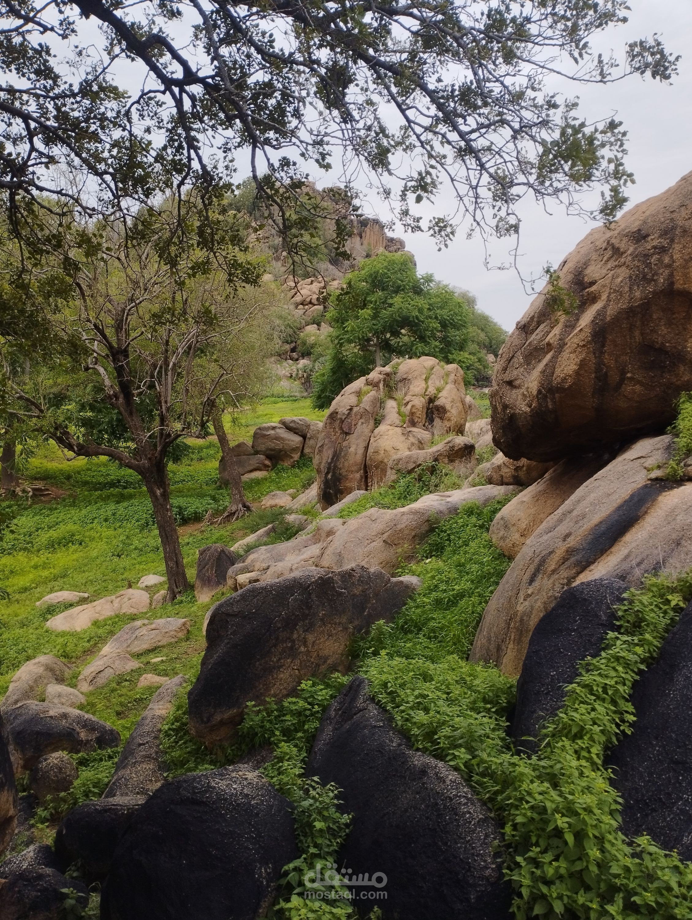 تصوير فوتوغرافي