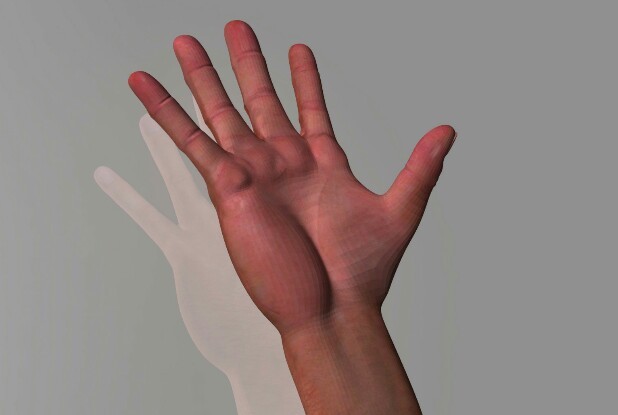 pro hand 3D