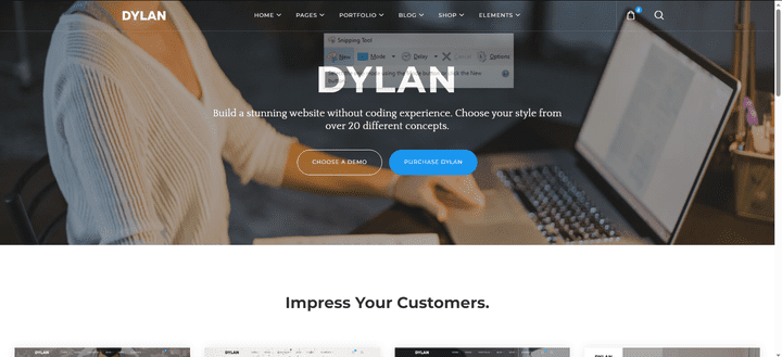 Dylan website