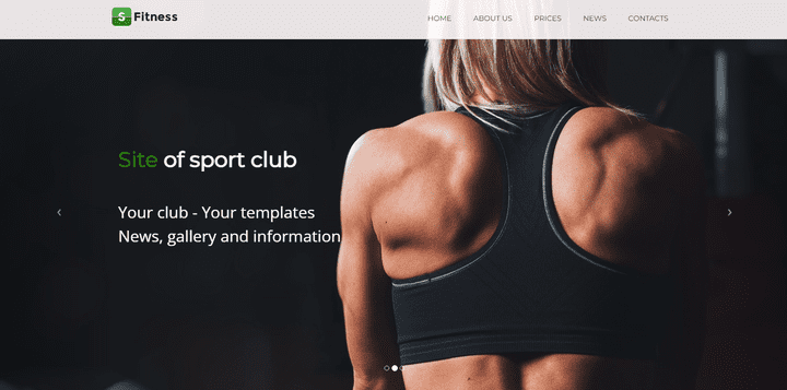 FITNESS Website