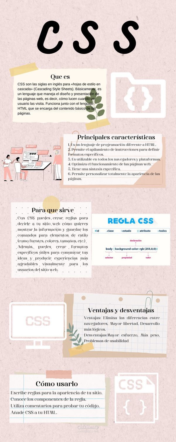 CSS JavaScript