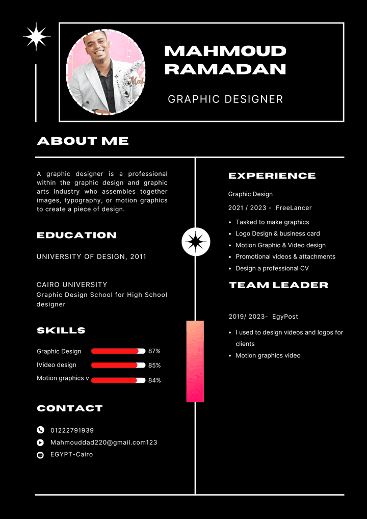 A professional CV