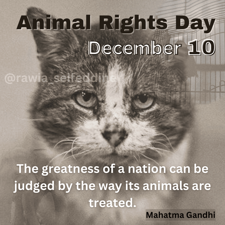 Animal Rights Day