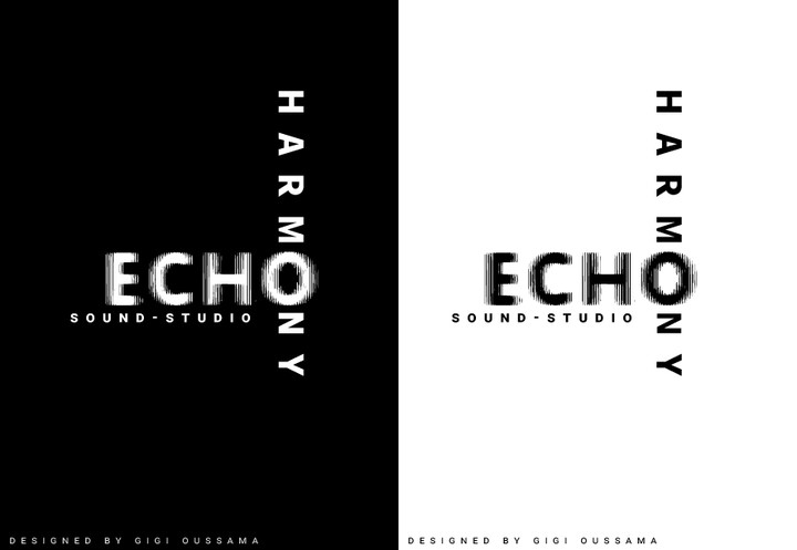 Echo logo studio sound