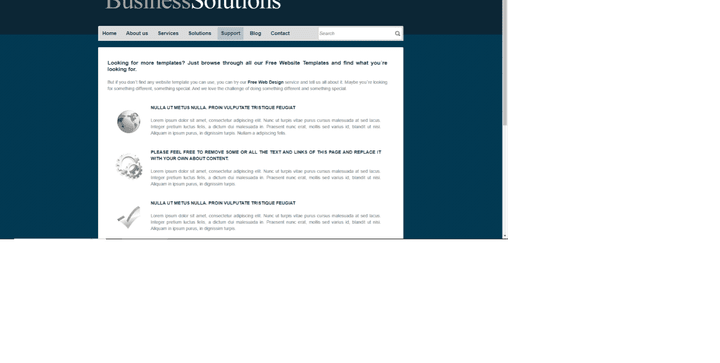 Busness website model