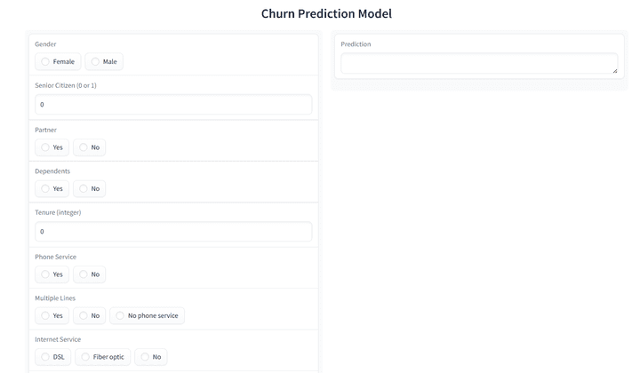 Churn Prediction Model