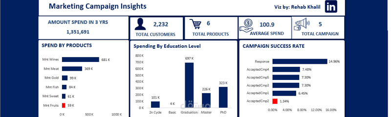 (تحليل سلوك العملاء وفعالية الحملات التسويقية )   Marketing Campaign Insight Analysis