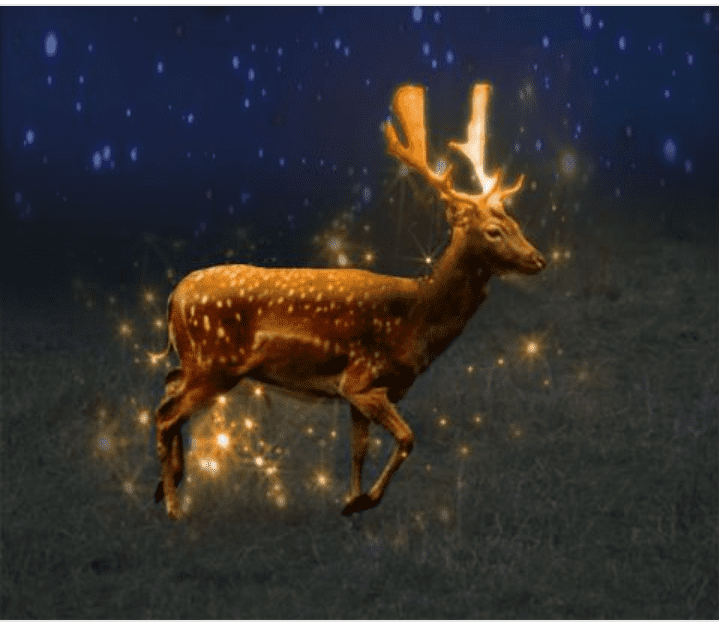 Glowing deer / Social media project