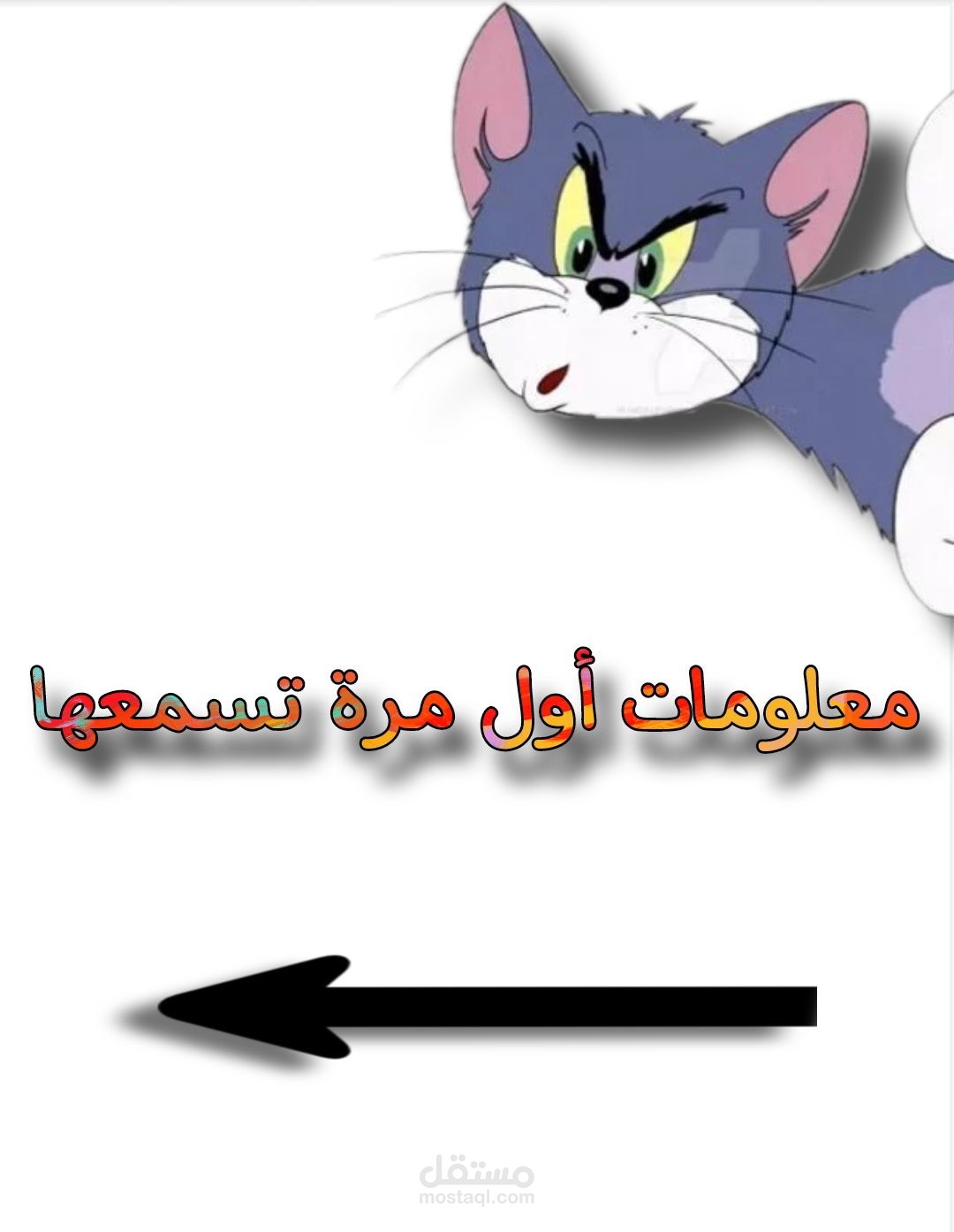 معلومات مختلفة