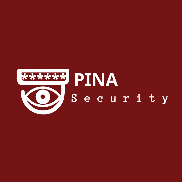 PINA Security لوجو شركة كاميرات مراقبه