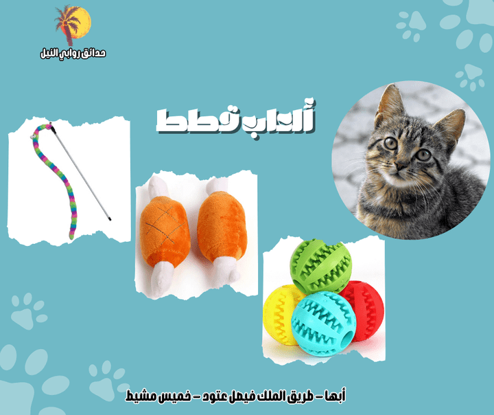 تصميم صورة منتجات خاصة بالحيوانات الأليفة