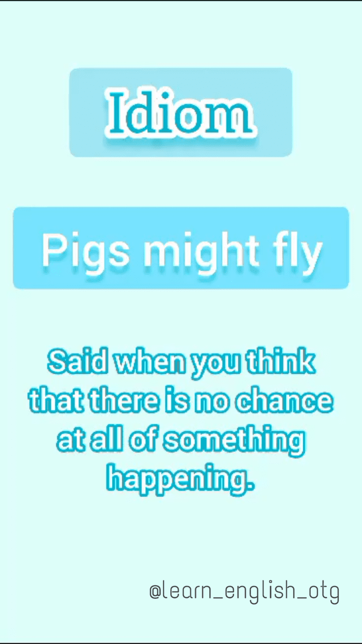 Pigs Might Fly) Idiom)