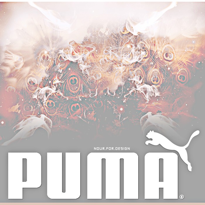 PUMA BRAND