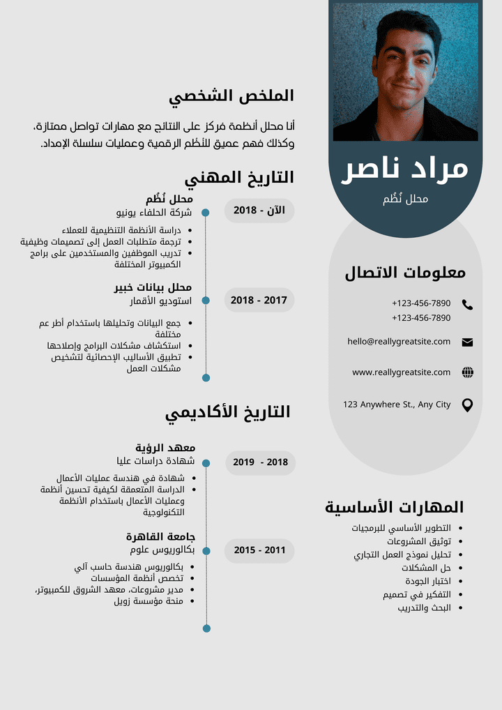 سيرة ذاتية احترافية