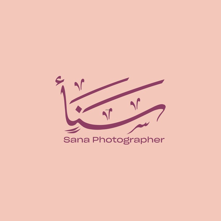 logo Sana