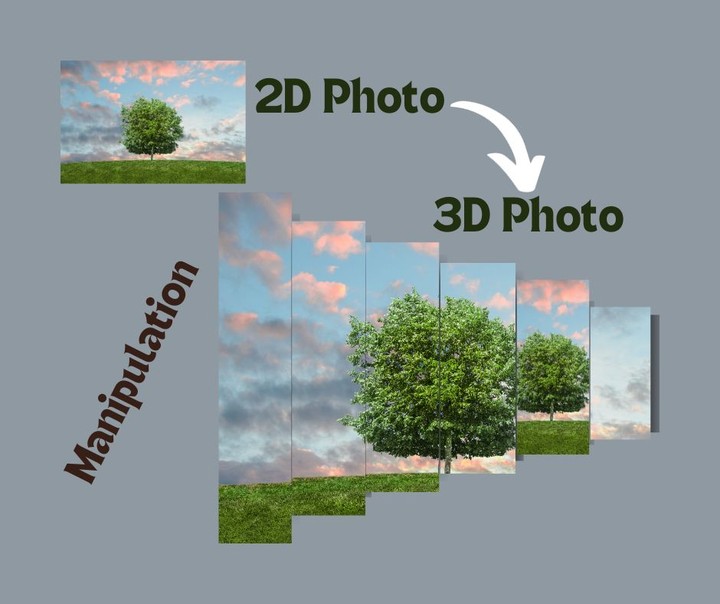 2D to 3D Tree Image with Shadow Face Book Post