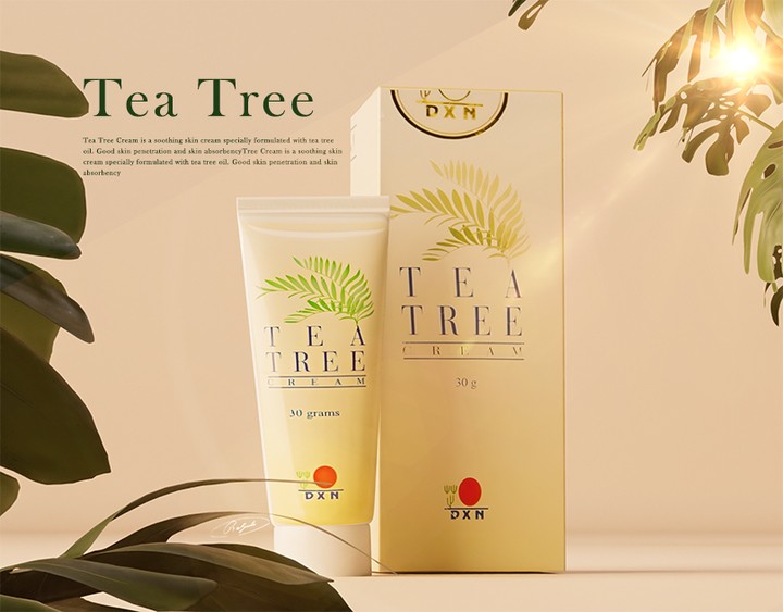 Tea tree 3D Modeling |3D rendering