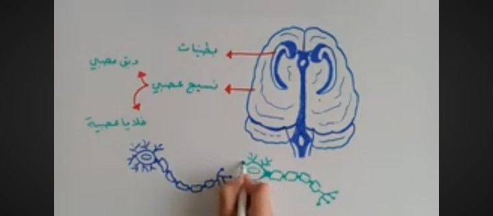 محتوى يوتيوب بعنوان الزهايمر 1 لمحة عن المرض