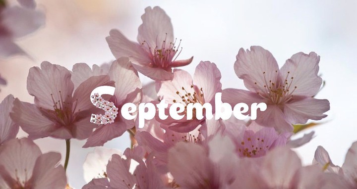 براند september