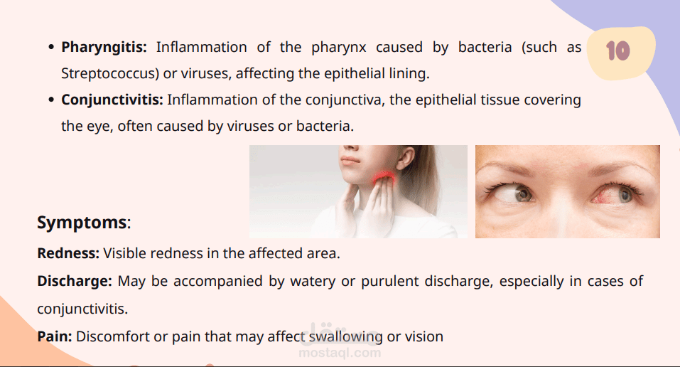 عرض تقديمي لمادة الانسجة بعنوان : Epithelial tissue stratified