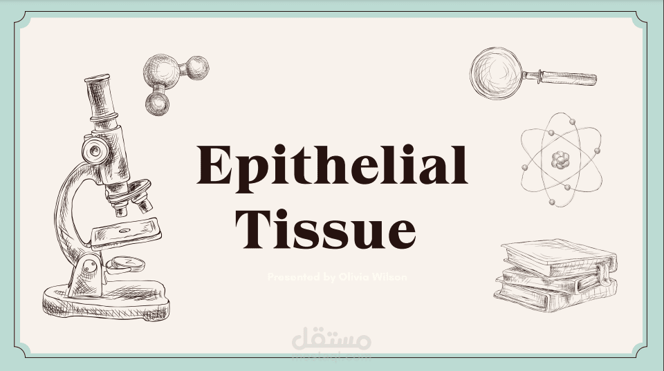 عرض تقديمي Epithelial Tissue