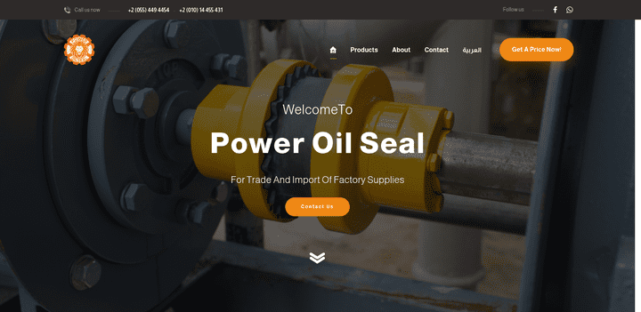 Power Oil Seal