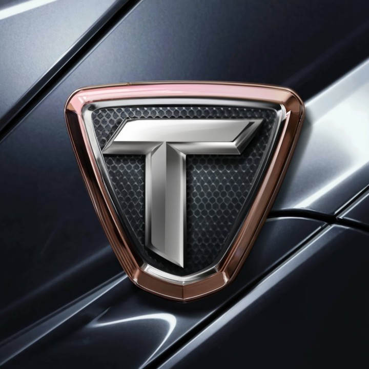 Logo.  For a car company.  With the name “T” with a very beautiful and distinctive background and a distinctive and very beautiful logo that is different from all companies