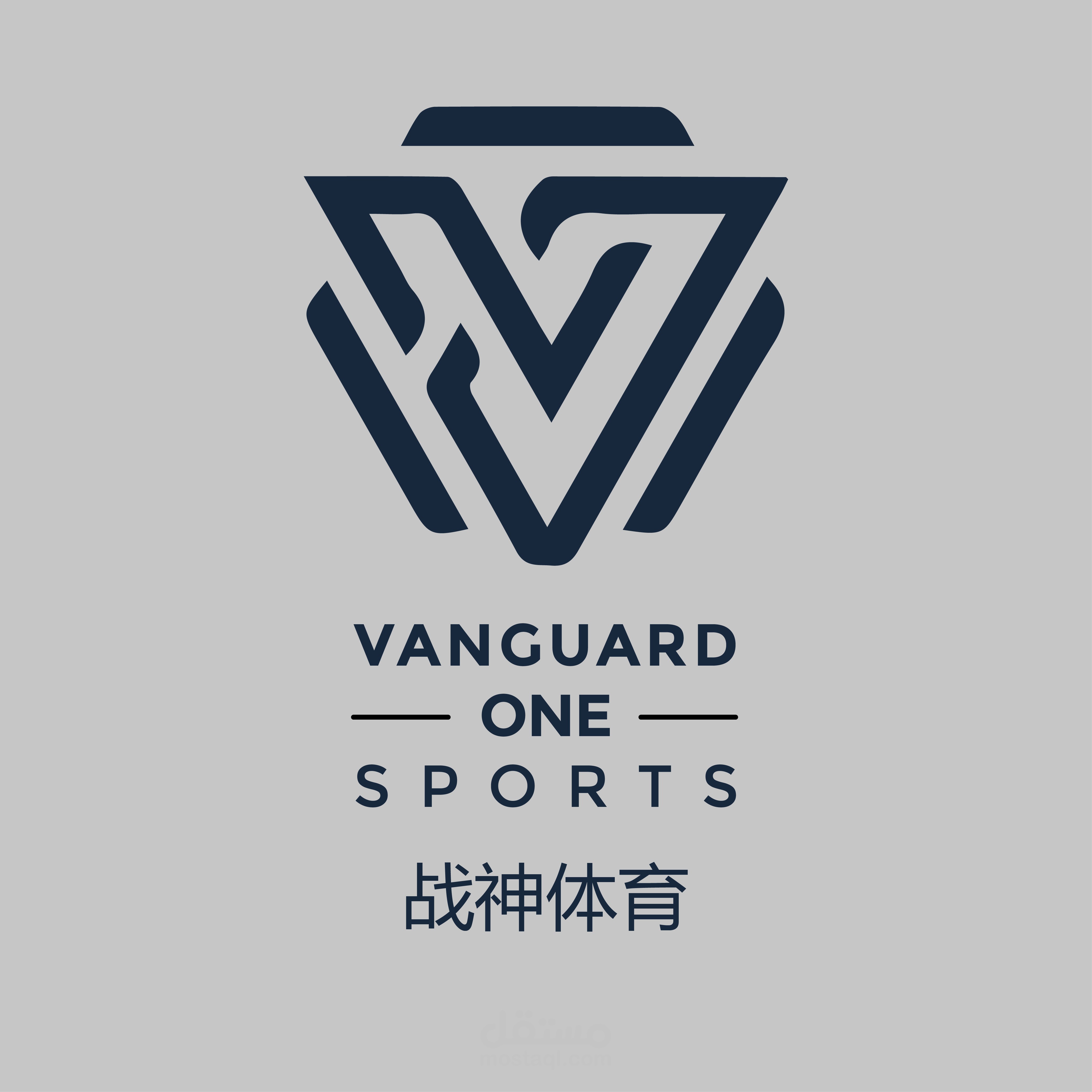Vanguard One Sports