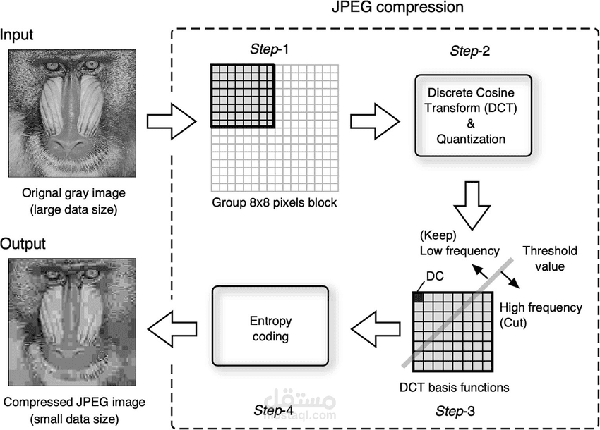 تطبيق ضغط الصور باستخدام تقنية JEPG كامل باستخدام MATLAB | مستقل